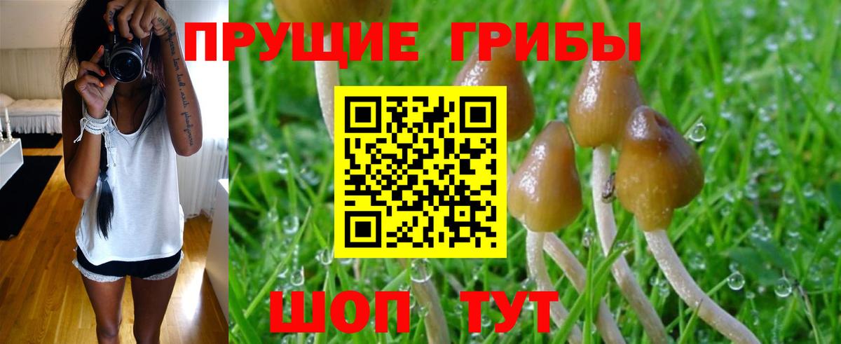 Галлюциногенные грибы GOLDEN TEACHER  Вход с VPN  Владивосток  Галлюциногенные грибы мухоморы 